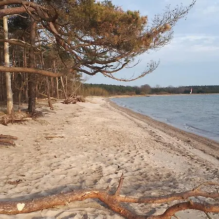 펜션 Strandraeuber